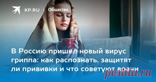 В Россию пришел новый вирус гриппа: как распознать, защитят ли прививки и что советуют врачи В центре «Вектор» оценили эффективность прививки от гриппа после мутаций вируса
