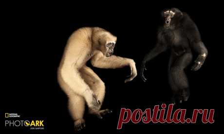 страницы которые создавались константина валерьевича сосницкого краснодар: 10 тыс изображений найдено в Яндекс.Картинках