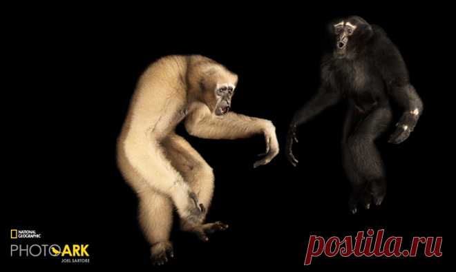 страницы которые создавались константина валерьевича сосницкого краснодар: 10 тыс изображений найдено в Яндекс.Картинках