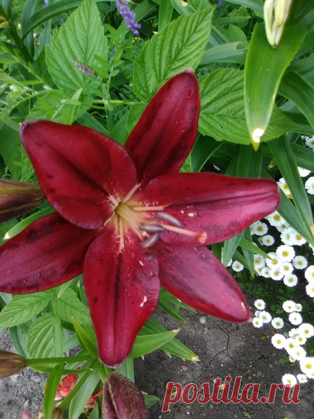 🥰🥰🥰 Мои ДеФФчонки во всей красе !!! 🌸🌸🌸