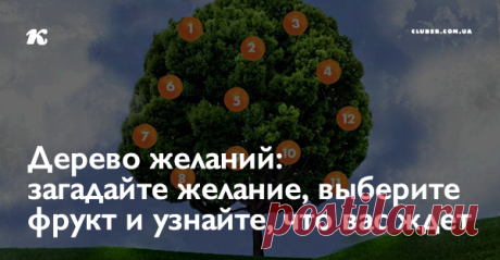 Дерево желаний: загадайте желание, выберите фрукт и узнайте, что вас ждет Загадайте желание и выберите один из фруктов на дереве. Под деревом вы найдете ответ и узнаете, сбудется ли оно…