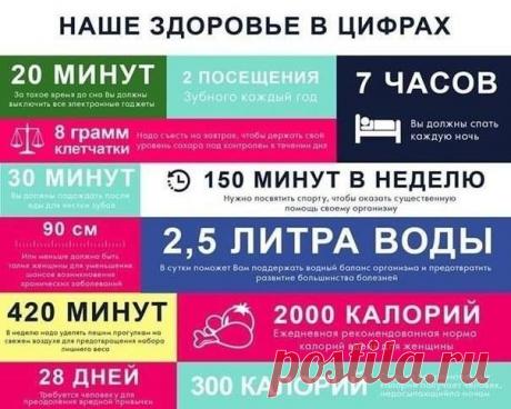 Diets.ru расписание здоровья