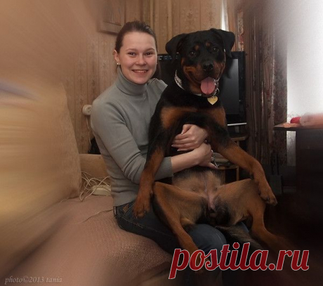 Животные и птицы | Фотографии Татьяна Мельникова | 5812 фото