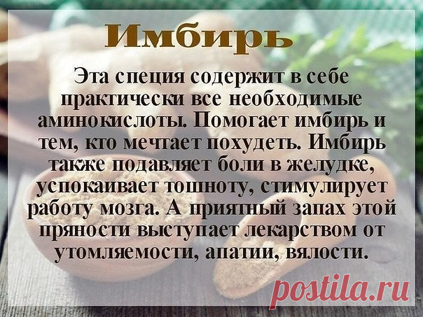 Полезные свойства специй

Берём на заметку!
