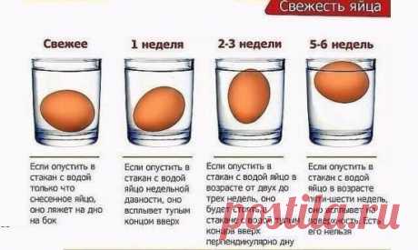 Проверяем свежесть продукта!