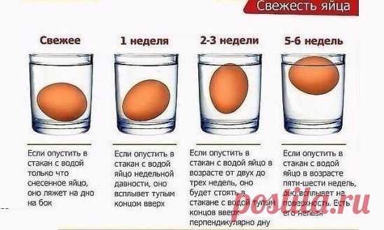 Проверяем свежесть продукта!