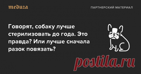 Говорят, собаку лучше стерилизовать до года. Это правда? Или лучше сначала разок повязать? — Meduza В России — в отличие, например, от некоторых штатов США — не действуют законы, обязывающие стерилизовать собак, если владелец официально не является заводчиком. Между тем стерилизация помогает сократить численность бездомных животных и тех, которые живут далеко не в самых лучших условиях в приютах. А еще в целом положительно влияет на здоровье питомцев. В карточках, которые ...