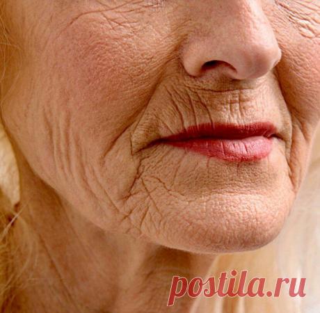 Из-за чего наша кожа быстро стареет: 6 пагубных привычек
Привычки, провоцирующие раннее старение: Можно выделить несколько привычек, приводящих к преждевременному старению: Диеты с низким содержанием жиров. Употребление напитков через трубочку, курение. Сон лицом в подушку или на боку. Пренебрежение солнцезащитным кремом. Недостаток физической активности. Нехватка сна. Перечисленные факторы...
Читай дальше на сайте. Жми подробнее ➡