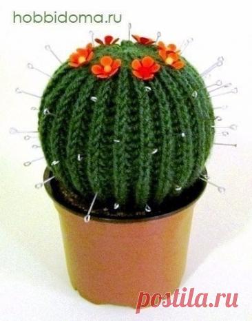 ​Игольница-кактус или новый зеленый друг Игольница-кактус или&nbsp;новый зеленый другСегодня будем создавать милашку-кактус, который станет не только украшением рабочего стола, но и удобным домиком для ваших спиц и крючков. Это так здорово, когда нужные вещи еще и красивые, правда? Что нам понадобится:
Зеленые ниточки для...