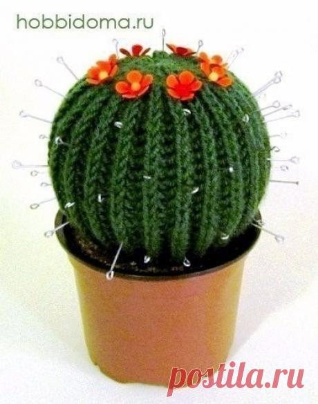 ​Игольница-кактус или новый зеленый друг Игольница-кактус или&nbsp;новый зеленый другСегодня будем создавать милашку-кактус, который станет не только украшением рабочего стола, но и удобным домиком для ваших спиц и крючков. Это так здорово, когда нужные вещи еще и красивые, правда? Что нам понадобится:
Зеленые ниточки для...