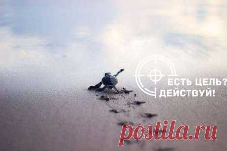 Интересные новости