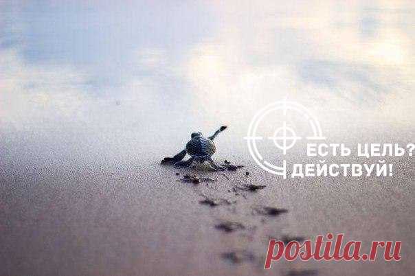 Интересные новости