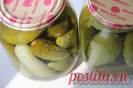 Маринованные огурцы, как в магазине - 5 пошаговых фото в рецепте