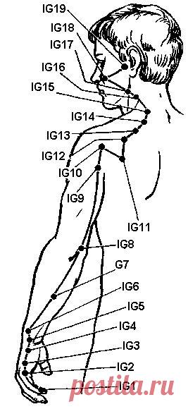 Меридиан тонкой кишки (IG)