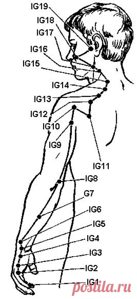 Меридиан тонкой кишки (IG)