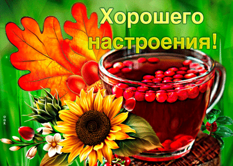 Замечательная осенняя открытка Хорошего настроения! - Скачать бесплатно на otkritkiok.ru