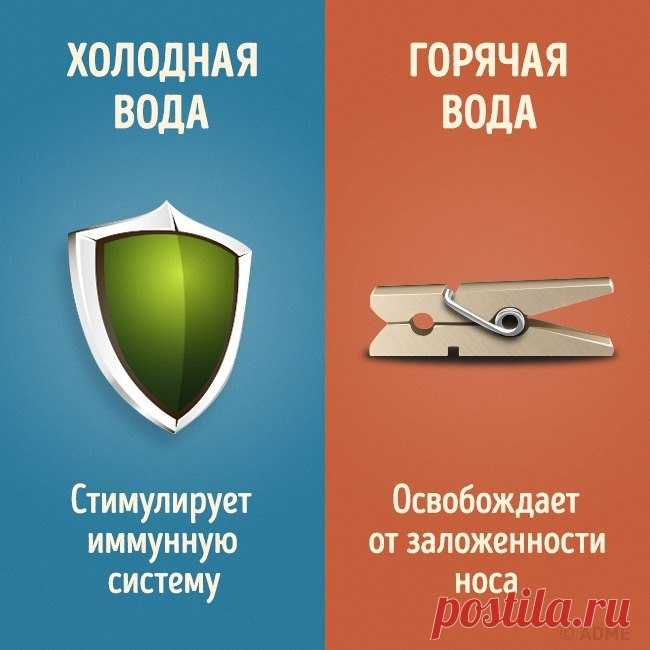 9 отличий холодного душа от горячего
