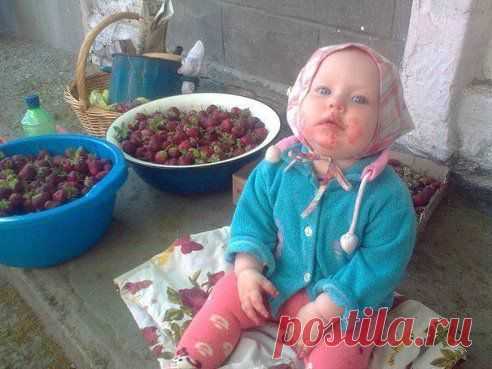 Кажись, наелась )))
