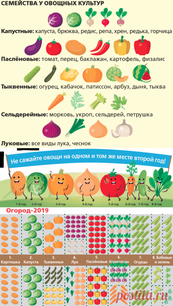 Планы на год. 7 шагов к урожайным грядкам