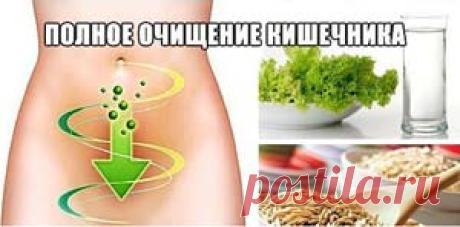 Чистка кишечника в домашних условиях-Лечение травами, рецепты народной медицины