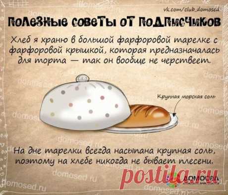 СОВЕТЫ ОТ ДОМОСЕДА