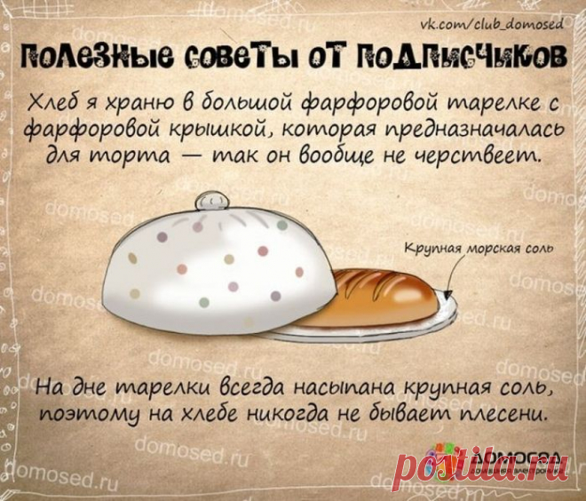 СОВЕТЫ ОТ ДОМОСЕДА