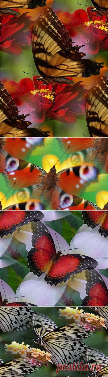 МОИ БЕСШОВНЫЕ ФОНЫ ***438 ЧАСТЬ***.