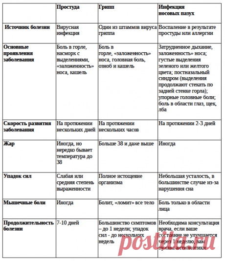 Простуда, грипп или инфекция носовых пазух: учимся различать, чтобы правильно лечить