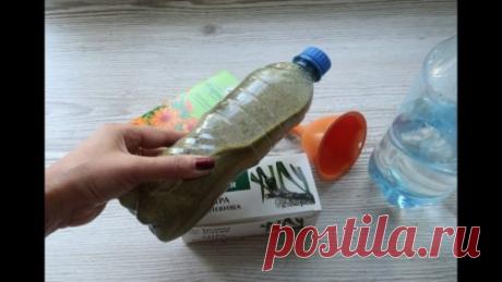 Настойка для быстрого восстановления зрения