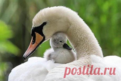 Мой Мир@Mail.Ru