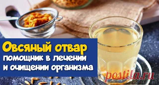 ЧТОБ О БОЛЕЗНЯХ ЗАБЫТЬ НАВСЕГДА, СЛЕДУЕТ ПИТЬ ОТВАР ИЗ ОВСА

Овес – довольно распространенная злаковая культура, которая на первый взгляд ничем не примечательна. Но при детальном рассмотрении ее свойств выясняется, что это растение таит в себе огромный потенциал – лечит болезни, избавляет от лишнего веса и очищает организм. Отвар овса рекомендовал применять сам Гиппократ, причем не по какой-то сложной схеме, а ежедневно вместо чая.

Дело в том, что древнегреческий врач зна...