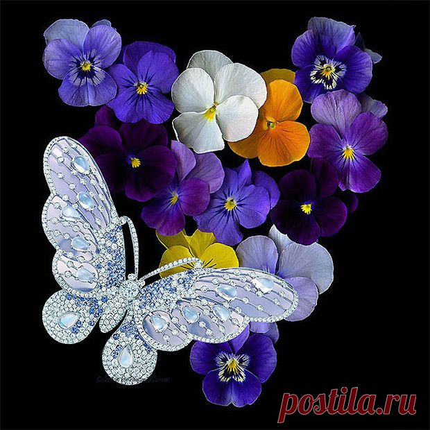 Ювелирные чудеса мастеров дизайна