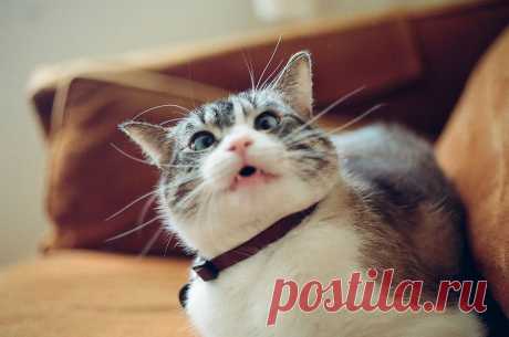hey! | Flickr - Photo Sharing!
