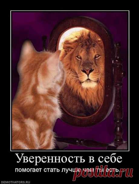 Интересные новости