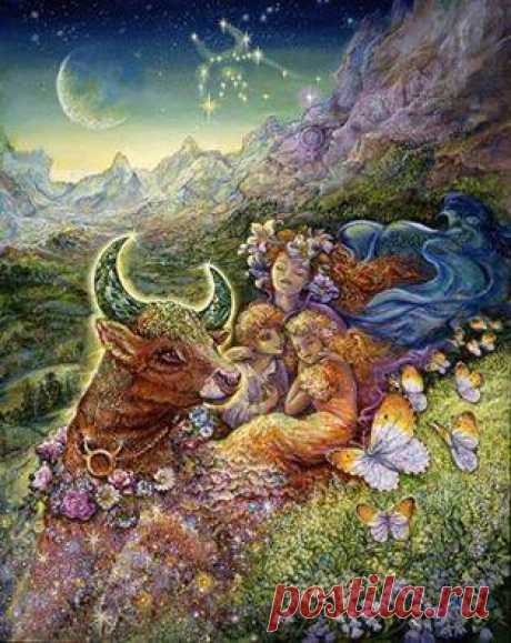 Площадка для строительства дома - это этап Тельца. «Его качества: сопротивляемость, терпение, упорство, любовь к работе и даже к работе тяжелой. Телец является знаком земли в связи с полным рассветом сил весны, с пастбищами, полями, с появлением зелени, с плодородной землей. Телец находится под управлением Венеры, но Венеры в своем аспекте примитивной, инстинктивной, плодовитой.Человек должен победить материализм и чувственность тельца и обрести его терпение, его устремленность, силу.»(Айванхов)