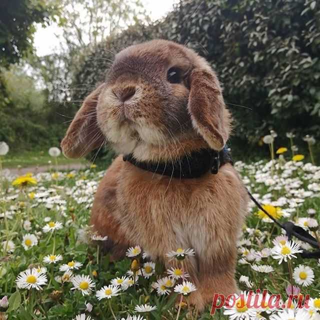 Photo by Lori T. Dean 🐰 on September 09, 2020. На изображении может находиться: на улице.