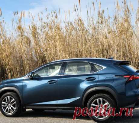 Lexus NX — обреченная на успех новая линейка внедорожников