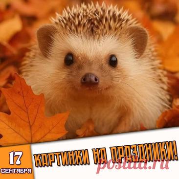 🎉 Праздники которые отмечают в России и мире 17 Сентября 2026 года (17.09.26 четверг)

✅ Праздник иконы Божией Матери «Неопалимая Купина»
✅ Собор Воронежских святых
✅ День народного единства в Белоруссии
✅ Международный день гнома
✅ Всемирный день безопасности пациентов