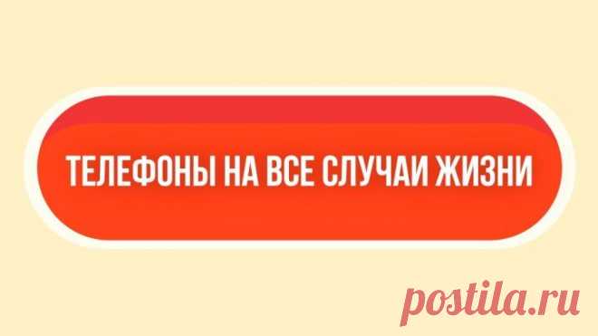 важные телефоны