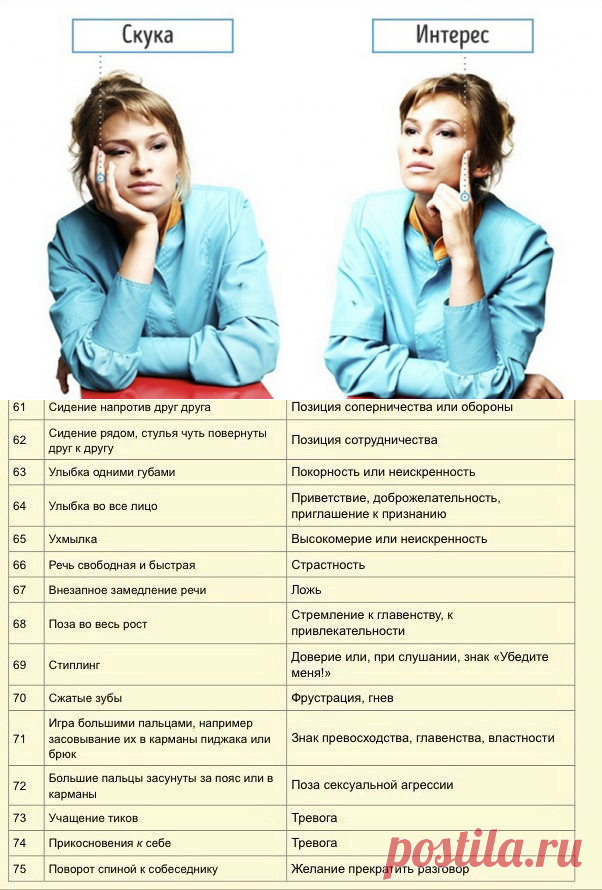 Как понять язык жестов другого человека? Очень интересная таблица Макса Эггерта