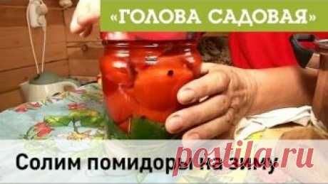 Голова садовая - Солим помидоры на зиму