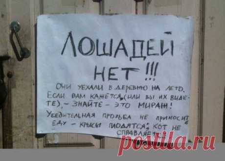 Веселые надписи