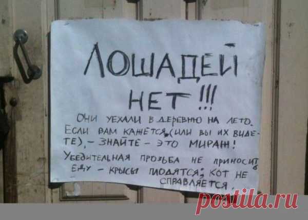 Веселые надписи