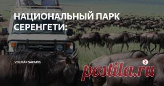 НАЦИОНАЛЬНЫЙ ПАРК СЕРЕНГЕТИ: Национальный парк Серенгети - один из крупнейших заповедников в мире (его площади 14 763 кв.км.) и старейший нац. парк на африканском континенте (образован в 1951 г.), расположен на севере Танзании у границы с Кенией. Серенгети находится на высоте от 920 до 1850 м над уровнем моря и его ландшафт меняется от длинной или короткой травы на юге до саванн в центре и холмов, покрытых лесами на севере. Н