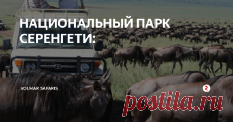 НАЦИОНАЛЬНЫЙ ПАРК СЕРЕНГЕТИ: Национальный парк Серенгети - один из крупнейших заповедников в мире (его площади 14 763 кв.км.) и старейший нац. парк на африканском континенте (образован в 1951 г.), расположен на севере Танзании у границы с Кенией. Серенгети находится на высоте от 920 до 1850 м над уровнем моря и его ландшафт меняется от длинной или короткой травы на юге до саванн в центре и холмов, покрытых лесами на севере. Н