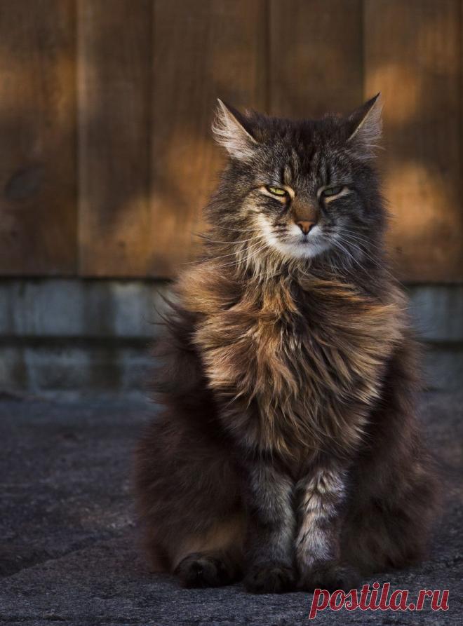 500px / Tink by Sarah West