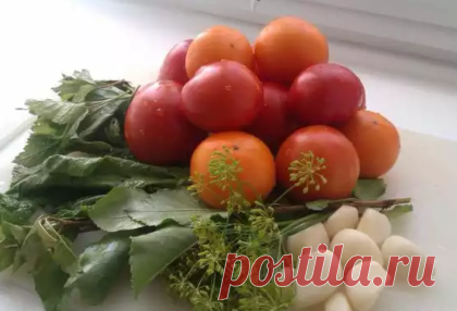 Консервирование вкусных помидоров на зиму. Как консервировать помидоры на зиму в банках