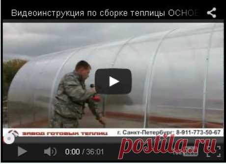 ЗАВОД ГОТОВЫХ ТЕПЛИЦ - Теплицы в Тамбове, поликарбонат, парники | Добро пожаловать