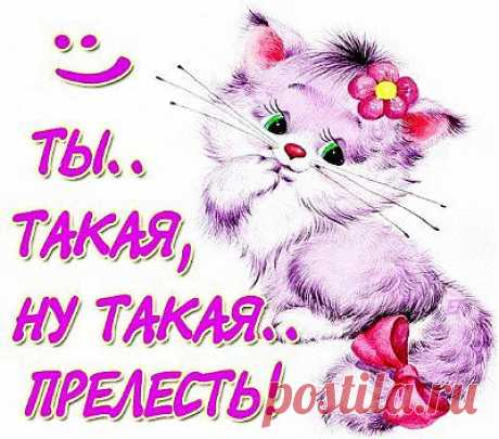 открытка