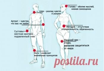 Психосоматика » Саморазвитие » Практическая психология. Саморазвитие » Светлый Мир